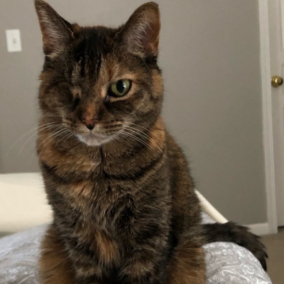 Meet your Posher, Stacy - Picture 4 of 8